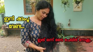 Home made shampoo Malayalam Try this [upl. by Adnileb]