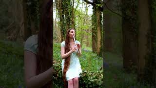 Playing ‘Road to Errogie’ Flook amongst the bluebells on the Chieftain Busker tinwhistle [upl. by Tirrag]