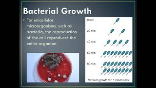 microbial count [upl. by Ojoj]