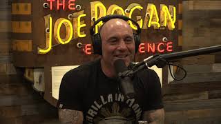 Joe Rogan Experience 1647  Dave Chappelle [upl. by Laurena823]