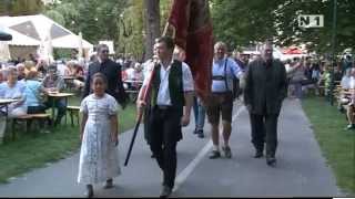 Weinfest im Museumspark in Mödling [upl. by Llenreb305]