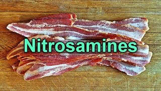 Salt Cures and Vegetable PowdersPart 4 Nitrosamines [upl. by Tteragram]