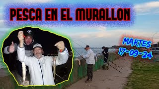 PESCA EN EL MURALLON  PESCA VARIADA [upl. by Munt]