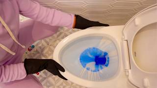 The Essential Guide to Cleaning a Toilet  StepbyStep Tutorial 🚽 ✨ [upl. by Airemahs]