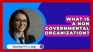 What Is A Non Governmental Organization  CountyOfficeorg [upl. by Anuahs]