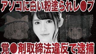 【ゆっくり解説】ミス学習院グランプリの末路が悲惨すぎた [upl. by Huberman]