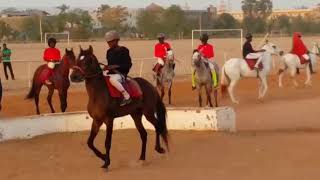 champ hippique de bamako [upl. by Jerman]