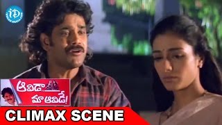 Ragada Ultimate Comedy Scenes  Hindi Dubbed Movie  Nagarjuna Anushka Priyamani  Brahmanandam [upl. by Airdnek99]