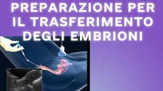 Preparazione per il trasferimento degli embrioni 2023 [upl. by Haletta]