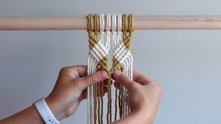 DIY Macrame Tutorial  Incorporating Colour Into Your Work Using Double Half Hitch Knots [upl. by Akimas573]