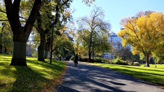 2020 Autumn  Australia Melbourne Flagstaff Garden Walk メルボルン散歩 フラグスタッフガーデン [upl. by Chere632]