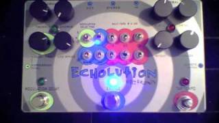 Pigtronix  Echolution BEST OF [upl. by Epul314]