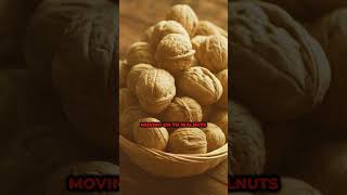 8 HEALTHIEST Nuts With No Carbs amp No Sugar youtubeshorts shorts [upl. by Leiru65]