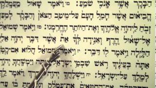 Haftorah Haftarah Reading for Parsha Zachor Amalek before Purim הפטרת זכור קריאה לפני פורים [upl. by Jase396]