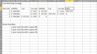 Cash Matching Strategy [upl. by Larimer]