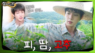 달려라 석진 EP9  피 땀 고추 [upl. by Grodin9]