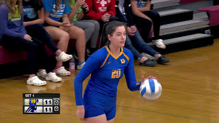 Wayzata vs Champlin Park Section 5AAA Girls High School Volleyball [upl. by Nodarb]