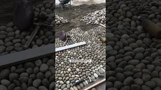 Pebbles ciottoli tiktok skills trending stone pavimenti skill trend patio cement shorts [upl. by Marlee]