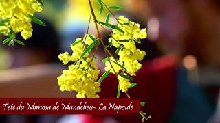 Fête du Mimosa de MandelieuLa Napoule 2020 [upl. by Shear]