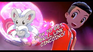 Where To Get Hidden Ability SKILL LINK CINCCINO  Pokemon Sword and Shield [upl. by Nahsed]