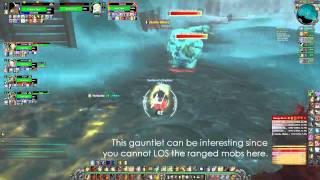 Tidy Plates Threat Plates Demo Saras Pally Tank PoV [upl. by Garate]