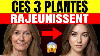 🥬3 PLANTES de la Jeunesse qui te donnent du COLLAGÈNE et FAVORISENT ta PEAU [upl. by Hutson754]