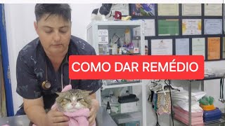 DICAS PARA DAR REMÉDIO PARA GATOS [upl. by Otreblig]