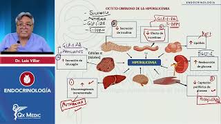 4 3 Octeto Ominoso Guía Nacional Diabetes 2024 [upl. by Gayle]