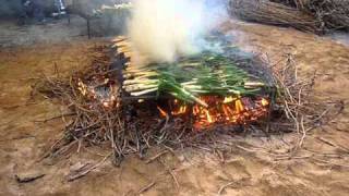 Calçots ardiendo en el infierno [upl. by Aihsein951]