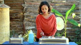 CleanCook Ethanol Stove Demonstration English Addis Ababa Ethiopia [upl. by Ettezil]