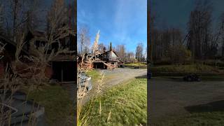 A day at our new Alaska Cabin HomeFreeAlaska Alaska OffGrid Shorts Homeschool [upl. by Riana710]