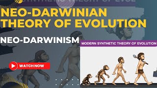 NeoDarwinian theory of evolutionModern synthetic theory of evolution  NeoDarwinism for MScBsc [upl. by Enrica694]