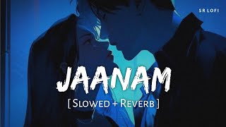 Jaanam Slowed  Reverb  Vishal Mishra  Bad Newz  Vicky Kaushal Triptii Dimri  SR Lofi [upl. by Adnomar]