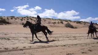 Randonnée à cheval la perle dEssaouira [upl. by Selwyn]