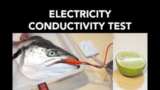 Electricity Conductivity Test [upl. by Simona]