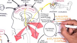 Pharmacology  Antiemetics [upl. by Byran658]