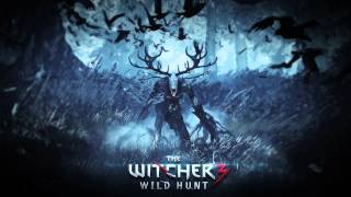 08 Mikolai Stroinski  The Witcher 3 Wild Hunt  Spikeroog [upl. by Liuqnoj]