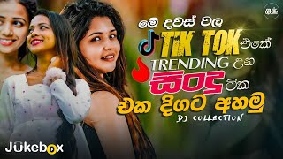 2024 TikTok Viral Songs ටික් ටොක් හිට් උන අලුත්ම ටික Best TikTok Trending Songs playlist 2024 [upl. by Singband]