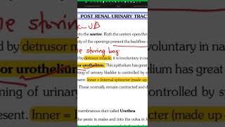 dartos vs detrusor muscles confusing topics aashik cee zoology [upl. by Hotchkiss]