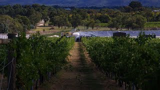 Sewage Treatment Plant for Vineyard [upl. by Enelam]