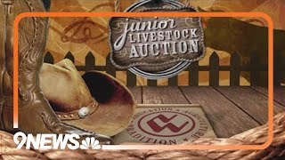 WATCH 2024 National Western Junior Livestock Auction [upl. by Sella780]