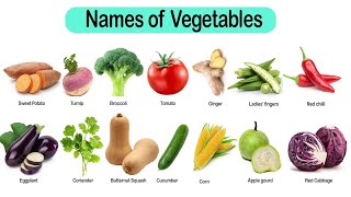 50Vegetable Name in English and Hindiसब्जियों के नामVegitables name for kidsvegetables vocabulary [upl. by Assyl931]