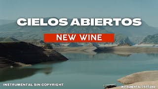 INSTRUMENTAL WORSHIP MUSIC  Cielos abiertos  New Wine  INSTRUMENTAL SIN COPYRIGHT [upl. by Areivax45]