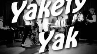 The Drapers  Yakety Yak official video [upl. by Shaya945]