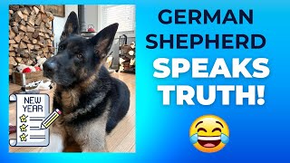 THE SAD TRUTH What This German Shepherd Thinks About Your New Year’s Resolutions 😂 [upl. by Dinan549]