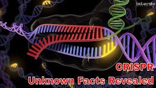 Unknown Facts About CRISPR cas9 Gene Editing Technique  Voice of Biotecnika [upl. by Alidia752]