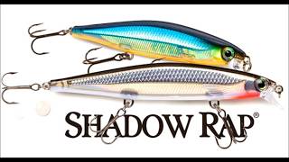 Rapala Shadow Rap [upl. by Nej449]