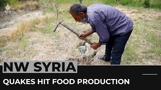 Northwestern Syria February 6 earthquakes hit food production [upl. by Kacie]