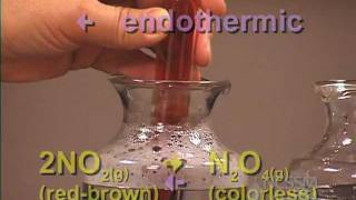 NO2 N2O4 Gas Equilibrium LeChateliers Principle Lab Part 4 [upl. by Sorazal22]