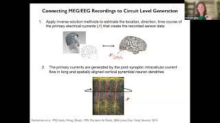 Virtual Workshop on Human Neocortical Neurosolver HNN  Stephanie Jones Presentation [upl. by Vidovik]